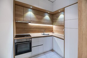 Arena Big Luxury Apartment