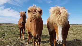 Klara's Farm Holidays
