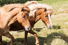 Klara's Farm Holidays