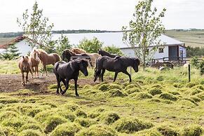 Klara's Farm Holidays