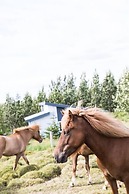 Klara's Farm Holidays