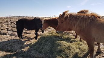 Klara's Farm Holidays