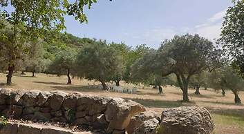 Regia Trazzera Ospitality and Relax