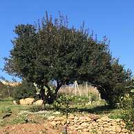 Regia Trazzera Ospitality and Relax