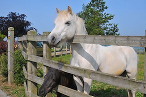 Edderton Hall Country House