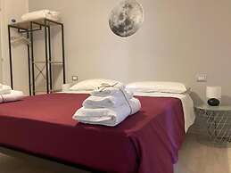 Gatto Bianco Picone 19