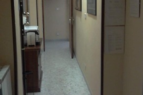 Gatto Bianco Picone 19