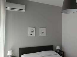 Gatto Bianco Picone 19