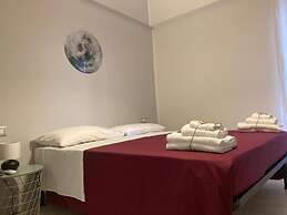 Gatto Bianco Picone 19