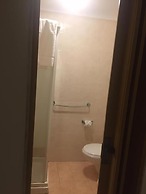 Gatto Bianco Picone 19