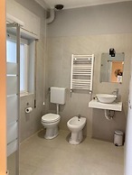 Gatto Bianco Picone 19