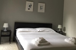 Gatto Bianco Picone 19