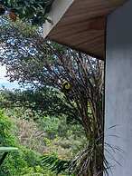 Hotel Hacienda Don Paolo