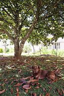 Hotel Murialdo Caxias