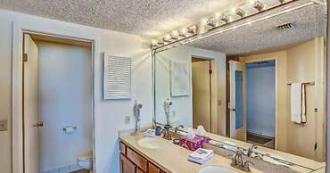 1860-61-turtle-dunes