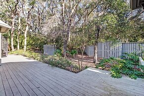 13-green-winged-teal