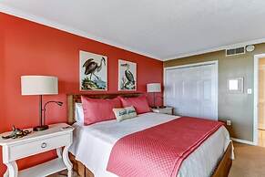 C123-amelia-surf-and-racquet - 1303311