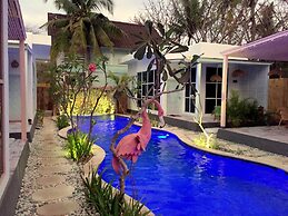 Flamingo Gili Trawangan