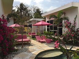 Flamingo Gili Trawangan