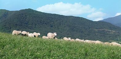 PyeongChang Ski House