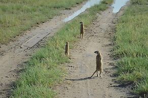 Phudzi Resort T/A Makgadikgadi Adventures