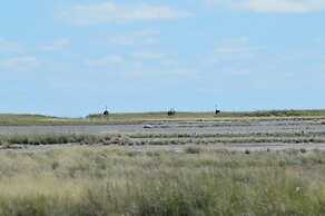 Phudzi Resort T/A Makgadikgadi Adventures