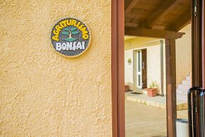 Bonsai B&B Alghero