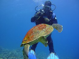 Daniela Village Dahab