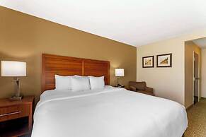 Comfort Inn & Suites Porter near Indiana Dunes