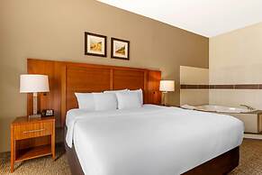 Comfort Inn & Suites Porter near Indiana Dunes