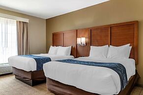 Comfort Suites Buda - Austin South