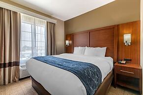 Comfort Suites Buda - Austin South