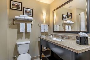 Comfort Suites Buda - Austin South