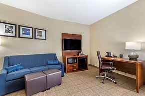 Comfort Suites Buda - Austin South