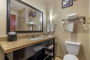 Comfort Suites Buda - Austin South