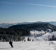 Naturparkhotel Grüner Baum