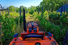 Fried Castle Hotel and Restaurant