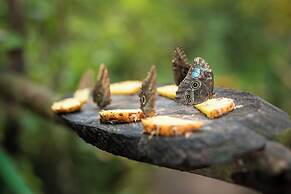 Summit Rainforest & Golf Resort