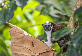 Summit Rainforest & Golf Resort