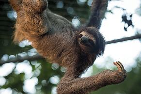 Summit Rainforest & Golf Resort