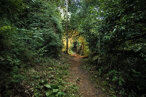 Summit Rainforest & Golf Resort