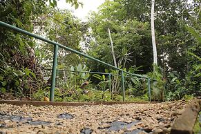 Summit Rainforest & Golf Resort