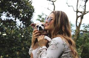 Summit Rainforest & Golf Resort