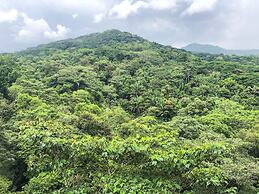 Summit Rainforest & Golf Resort