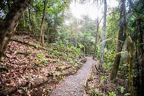 Summit Rainforest & Golf Resort