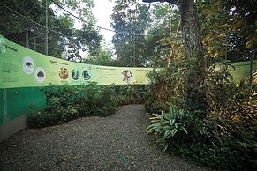 Summit Rainforest & Golf Resort