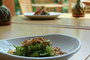 Summit Rainforest & Golf Resort