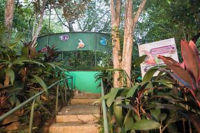 Summit Rainforest & Golf Resort