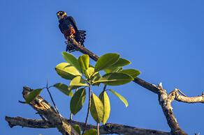 Summit Rainforest & Golf Resort