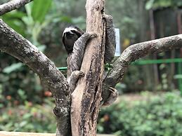 Summit Rainforest & Golf Resort